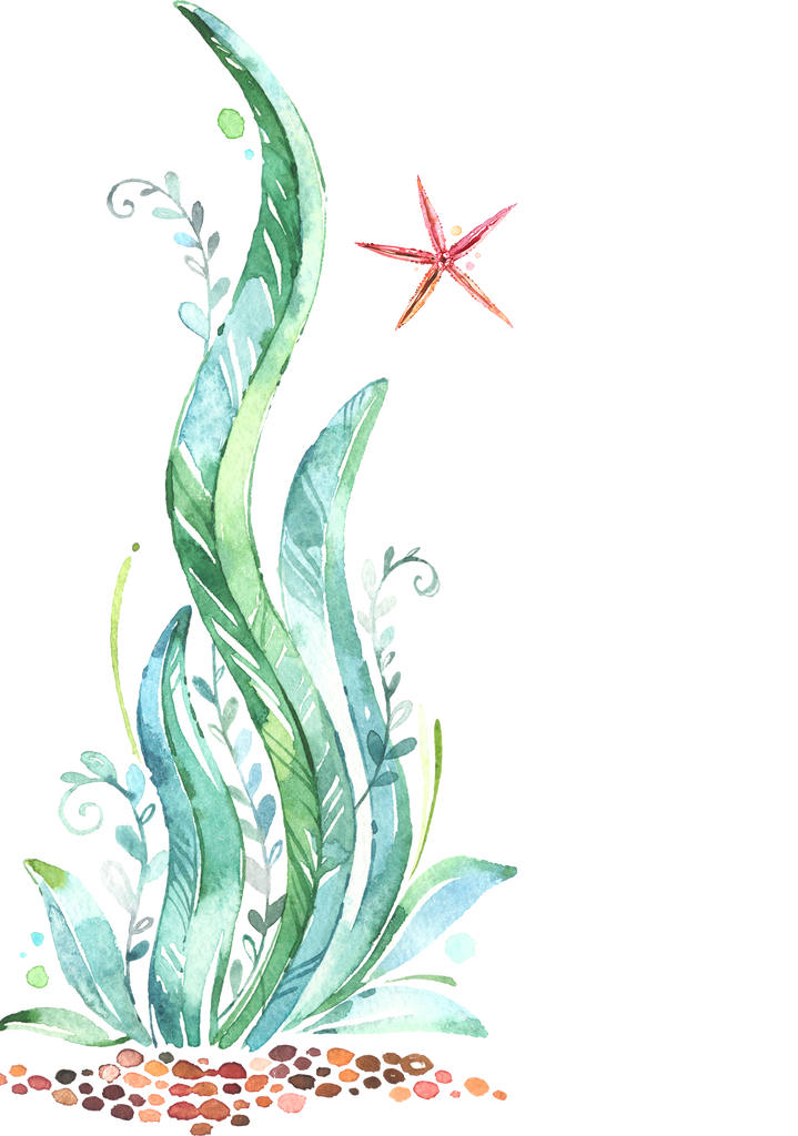blue-green watercolor seaweed with a red starfish